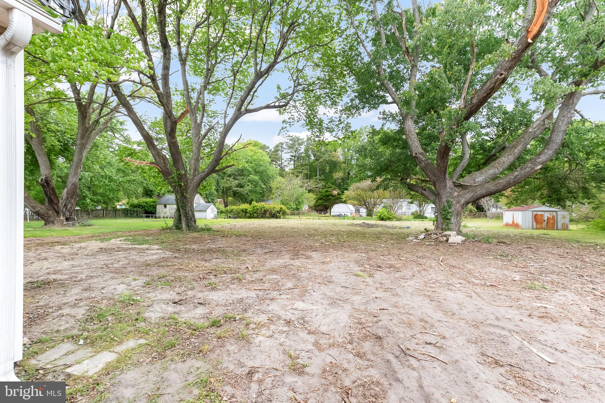 30536 Bennett Road Salisbury, MD 21804 - Photo 27 of 27 Spacious yard with mature trees.