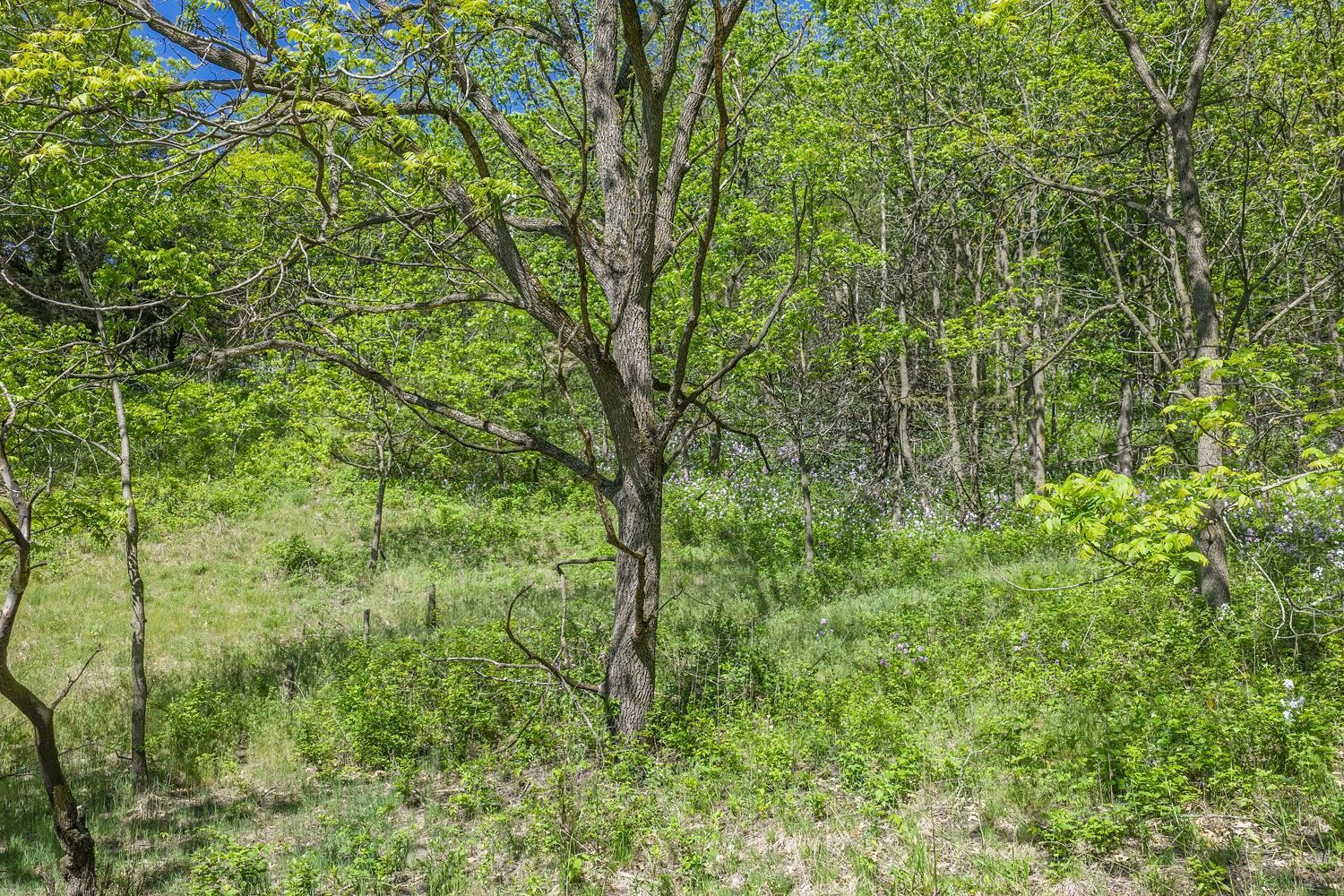 N2301 Cactus Acres Lodi, WI 53555 - Photo 11 of 17