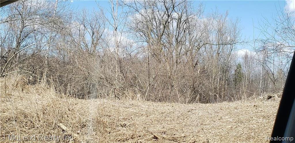 Vl Oak Road Millington, MI 48746 - Photo 5 of 10