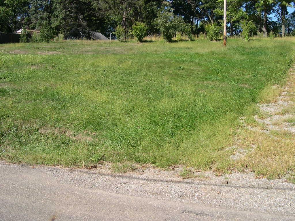 173 Trump Road Cheswick, PA 15024 - Photo 4 of 8 Gallery Image 4