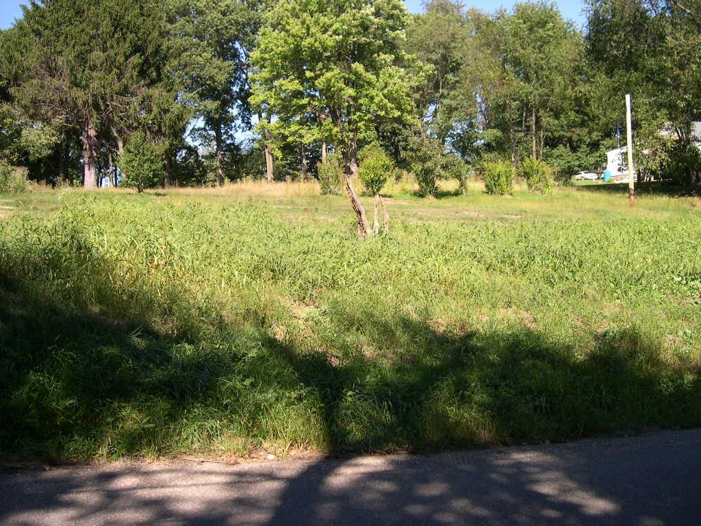 173 Trump Road Cheswick, PA 15024 - Photo 5 of 8 Gallery Image 5
