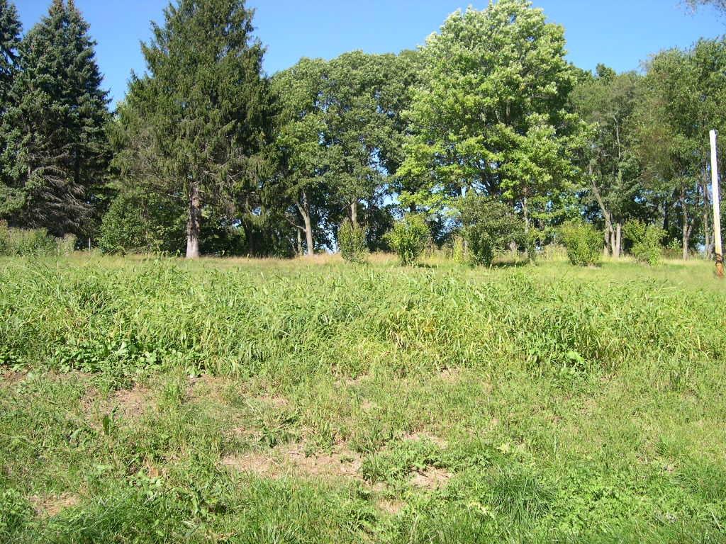173 Trump Road Cheswick, PA 15024 - Photo 6 of 8 Gallery Image 6