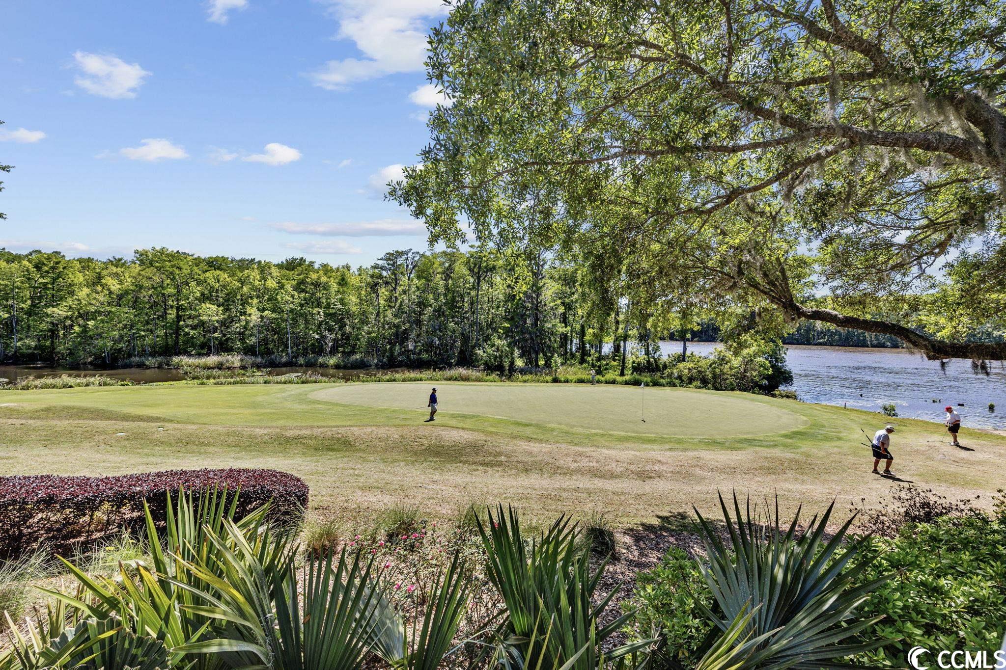 4437 Lady Banks Lane, Unit B2 Murrells Inlet, SC 29576 - Photo 28 of 40
