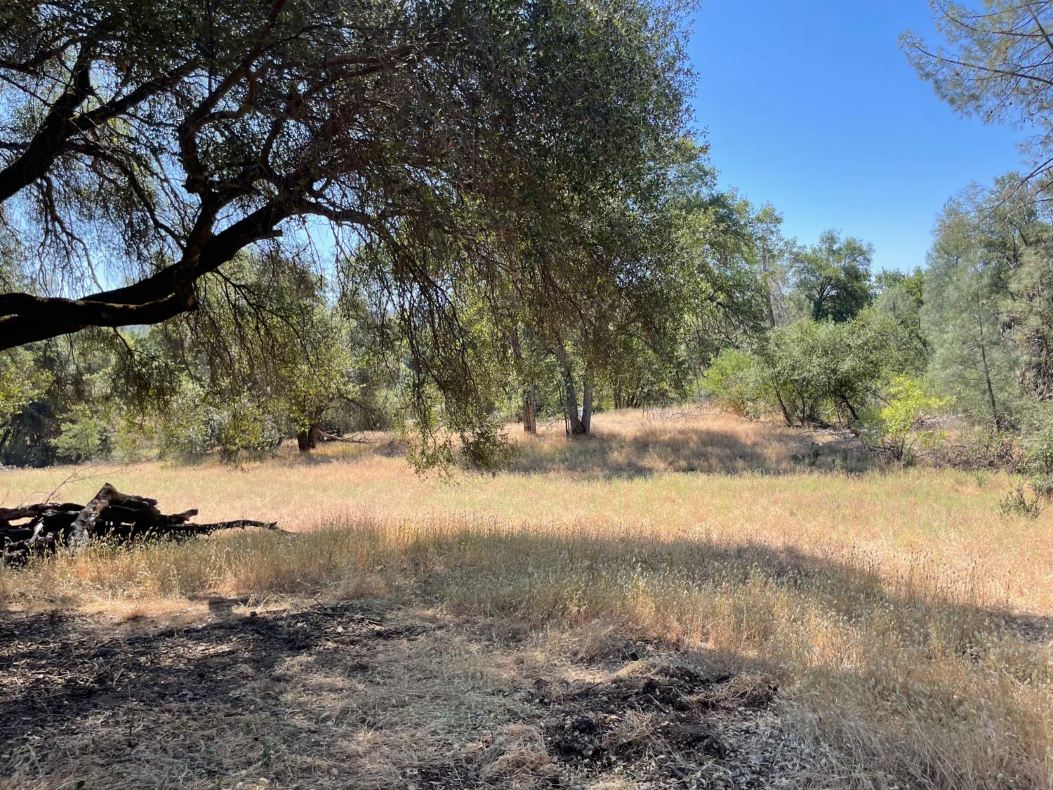 3877 Lopa Road Mariposa, CA 95338 - Photo 36 of 39