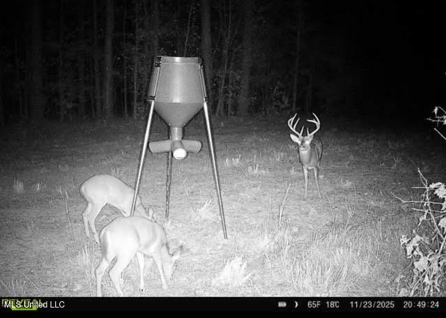 6145 Dry Grove Road Terry, MS 39170 - Photo 104 of 107 710