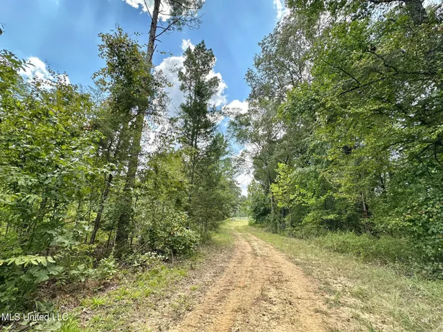 $4,420,000 | 6145 Dry Grove Road, Terry, MS 39170