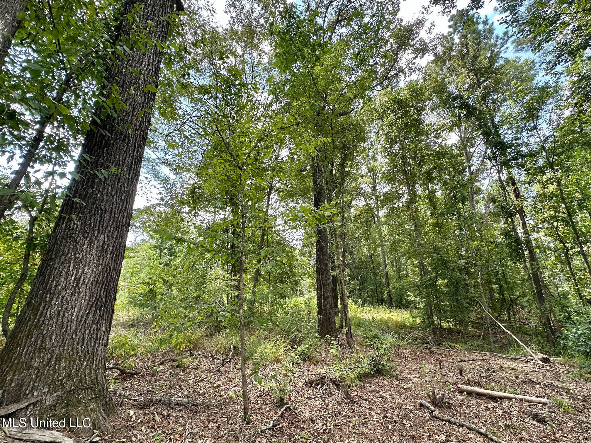 6145 Dry Grove Road Terry, MS 39170 - Photo 13 of 95 14