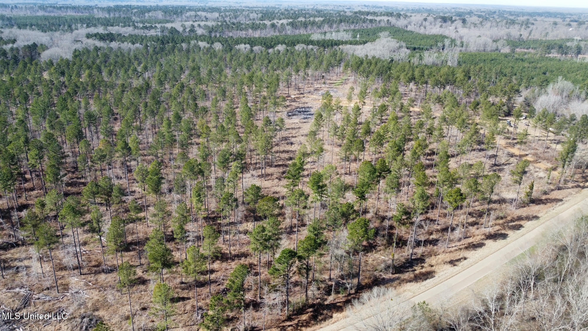 6145 Dry Grove Road Terry, MS 39170 - Photo 14 of 107 524 - Copy