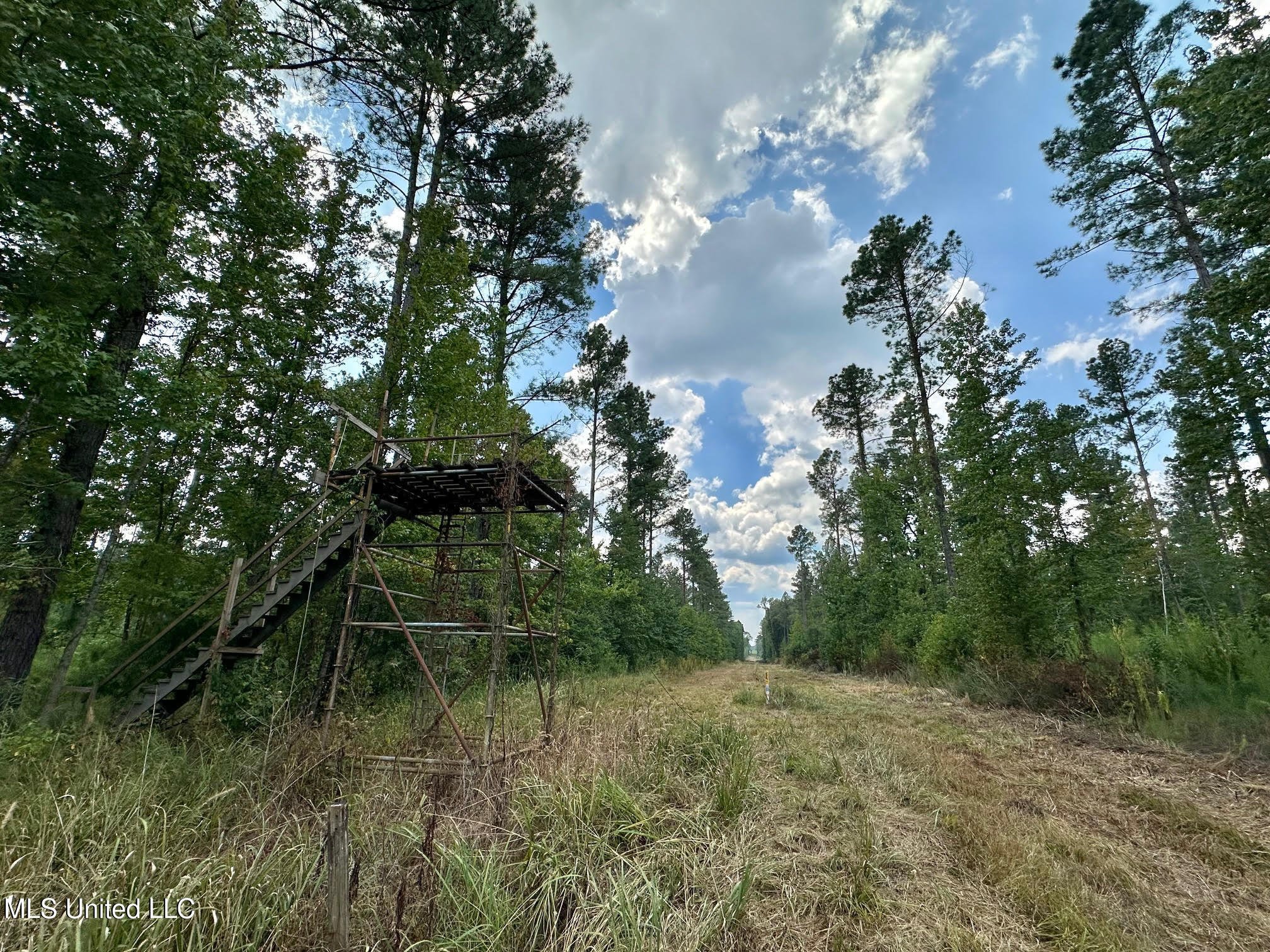 6145 Dry Grove Road Terry, MS 39170 - Photo 15 of 95 17