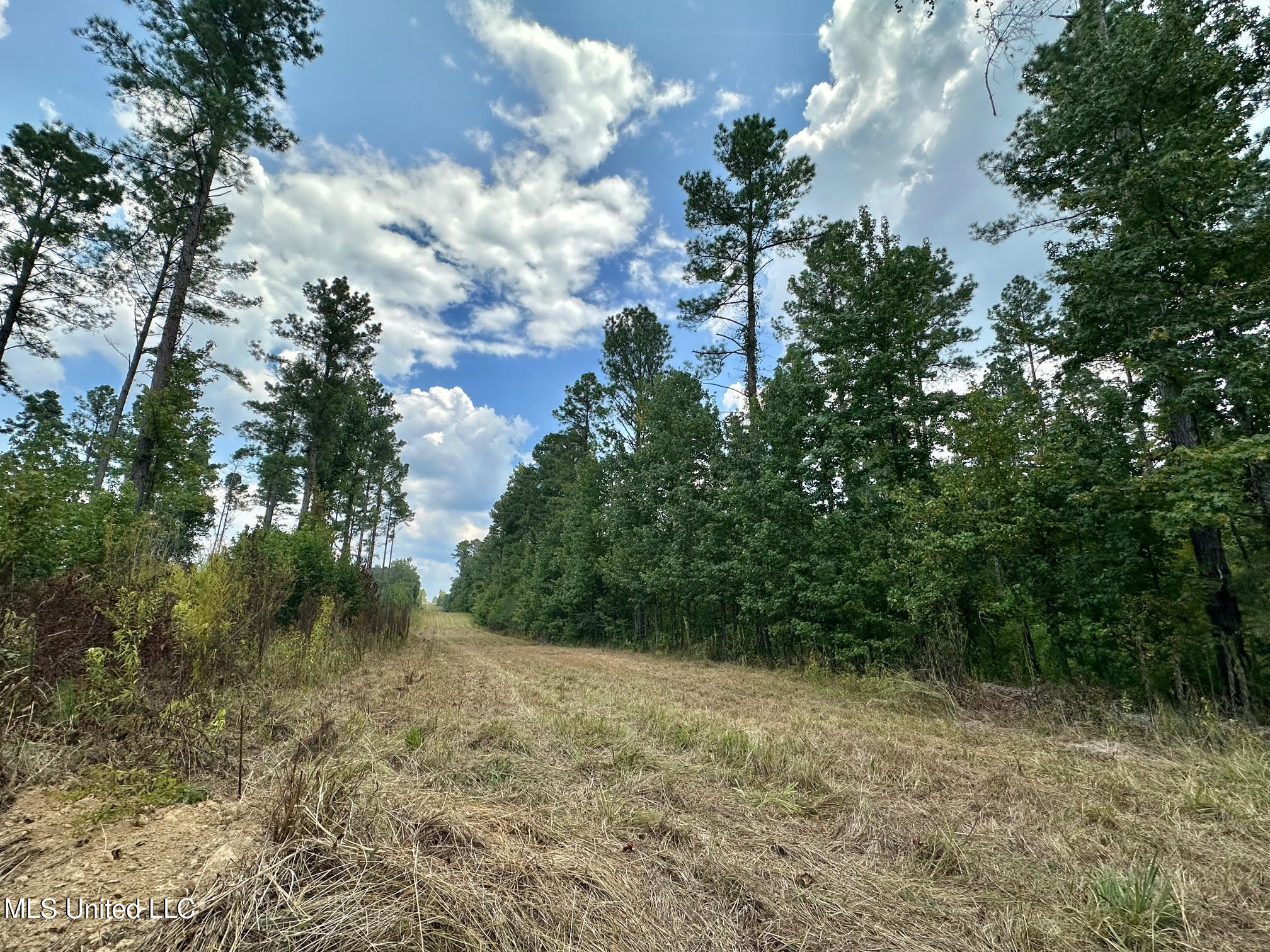 6145 Dry Grove Road Terry, MS 39170 - Photo 16 of 95 18