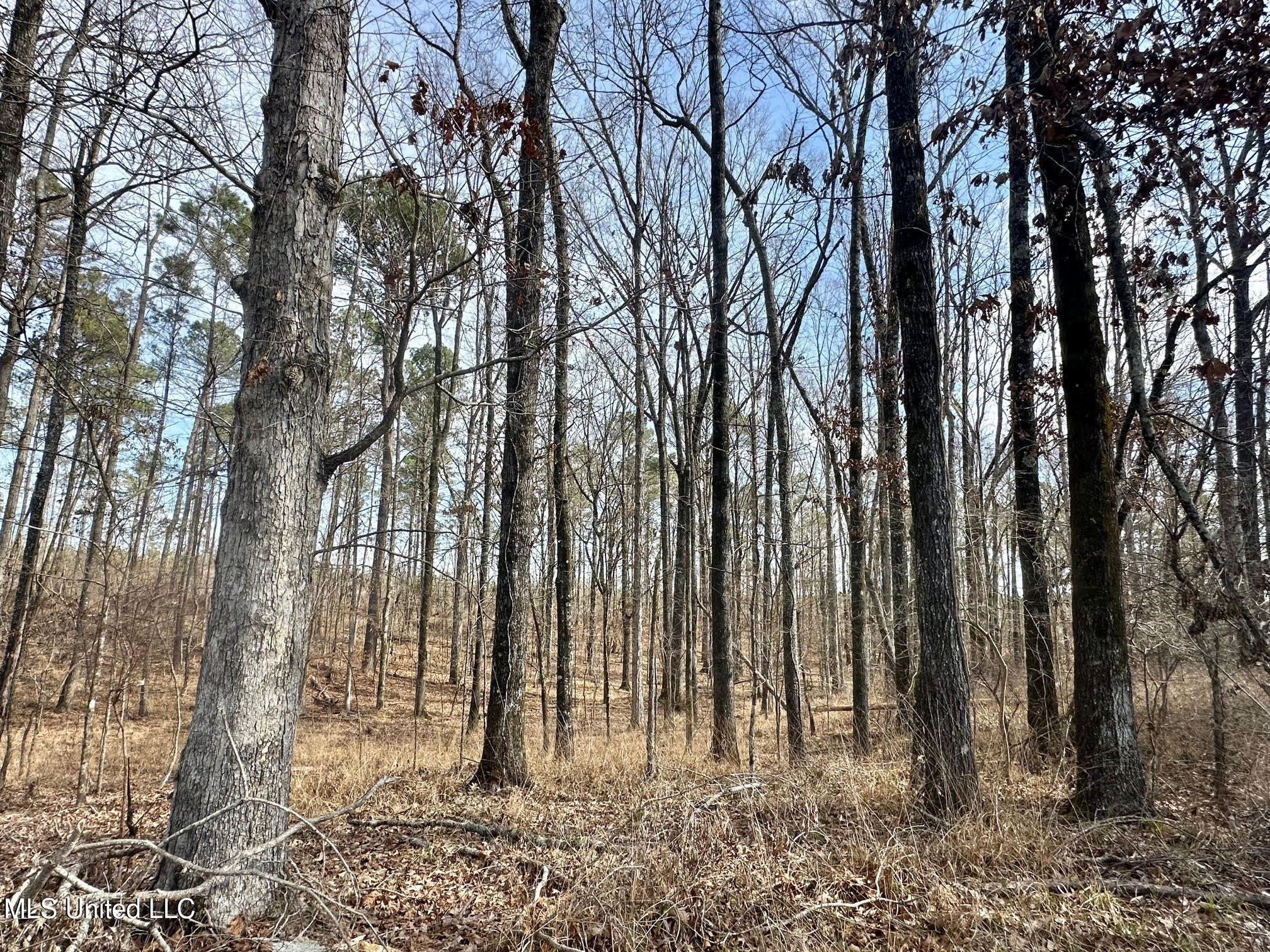 6145 Dry Grove Road Terry, MS 39170 - Photo 17 of 107 532 - Copy