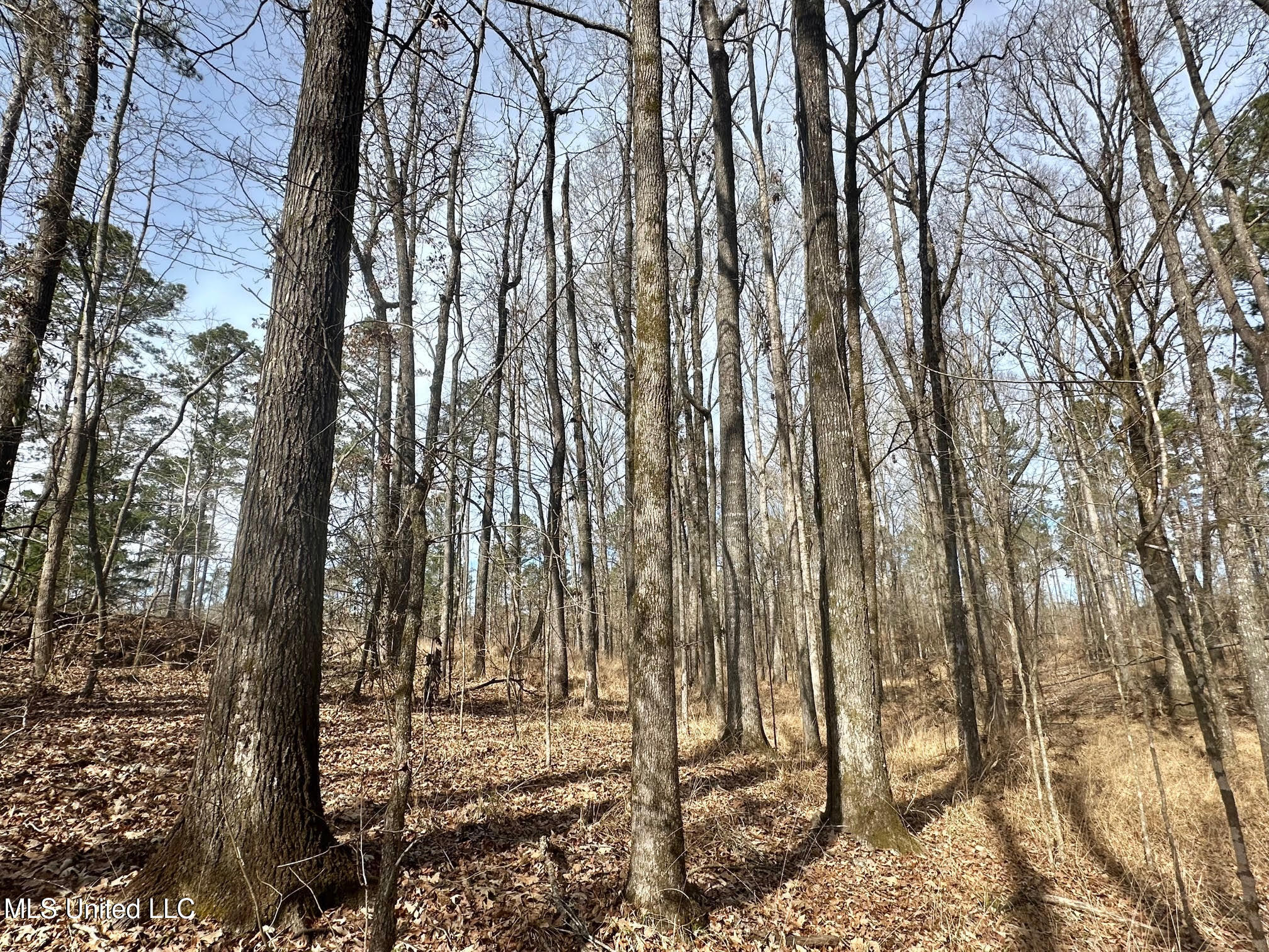 6145 Dry Grove Road Terry, MS 39170 - Photo 18 of 107 533 - Copy