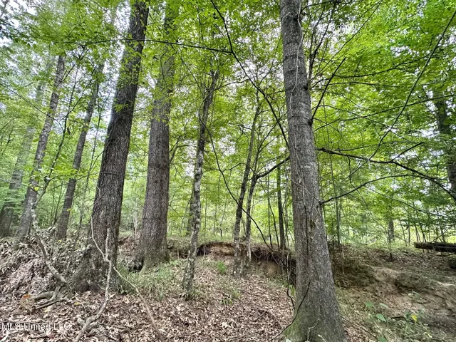 $4,420,000 | 6145 Dry Grove Road, Terry, MS 39170