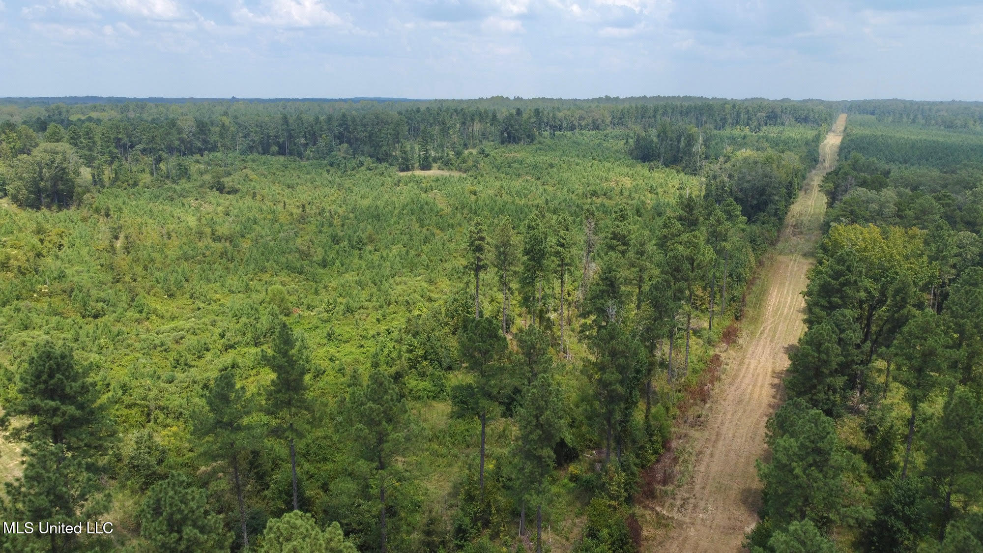 6145 Dry Grove Road Terry, MS 39170 - Photo 19 of 95 21