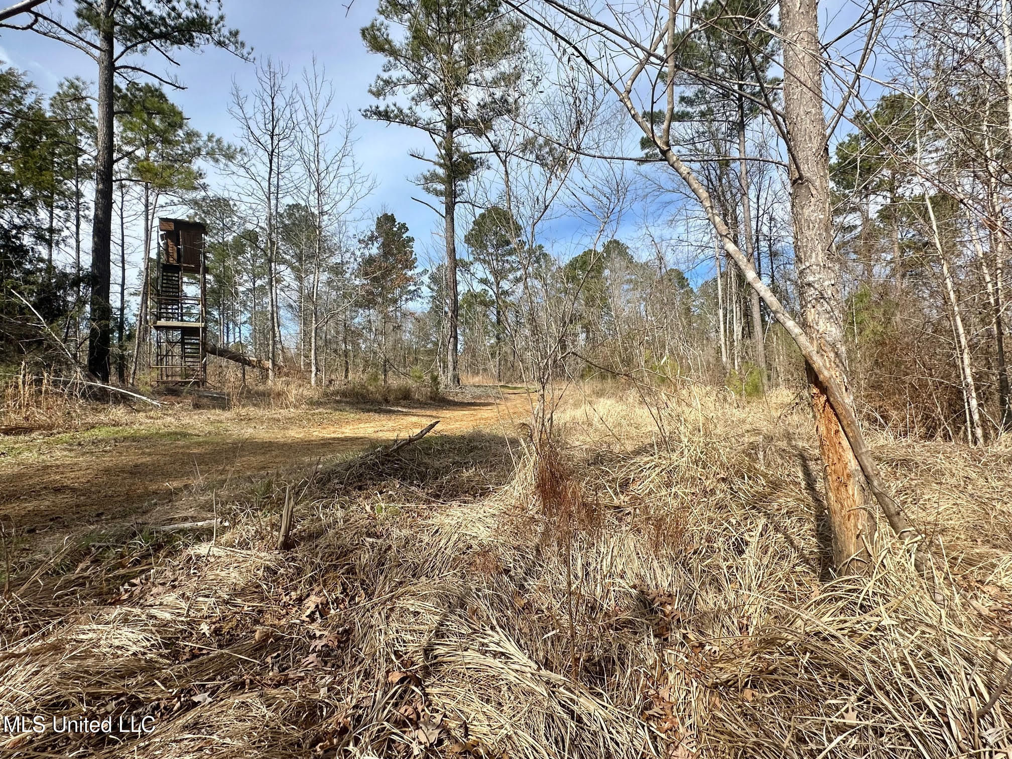 6145 Dry Grove Road Terry, MS 39170 - Photo 19 of 107 535 - Copy