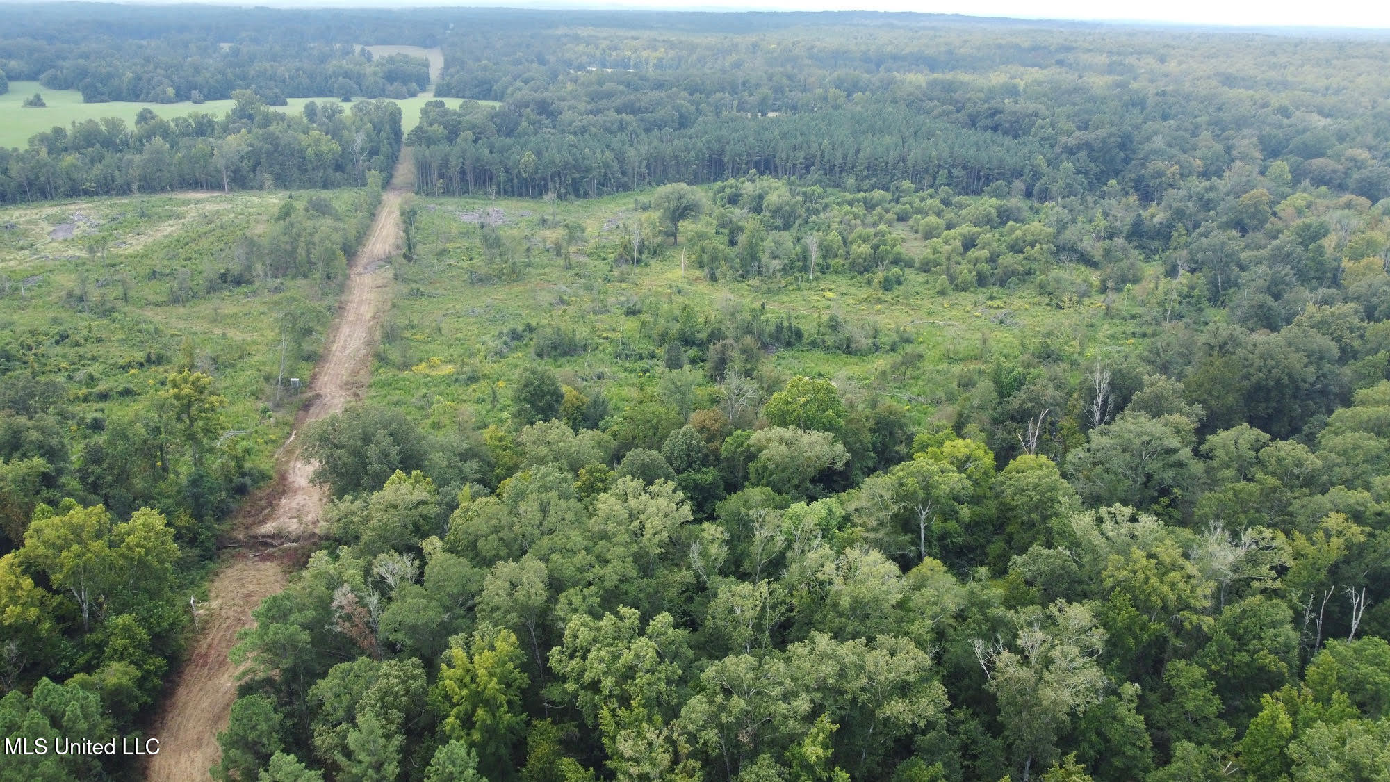 6145 Dry Grove Road Terry, MS 39170 - Photo 20 of 95 23