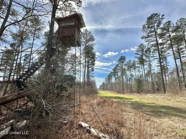 $3,879,000 | 6145 Dry Grove Road, Terry, MS 39170