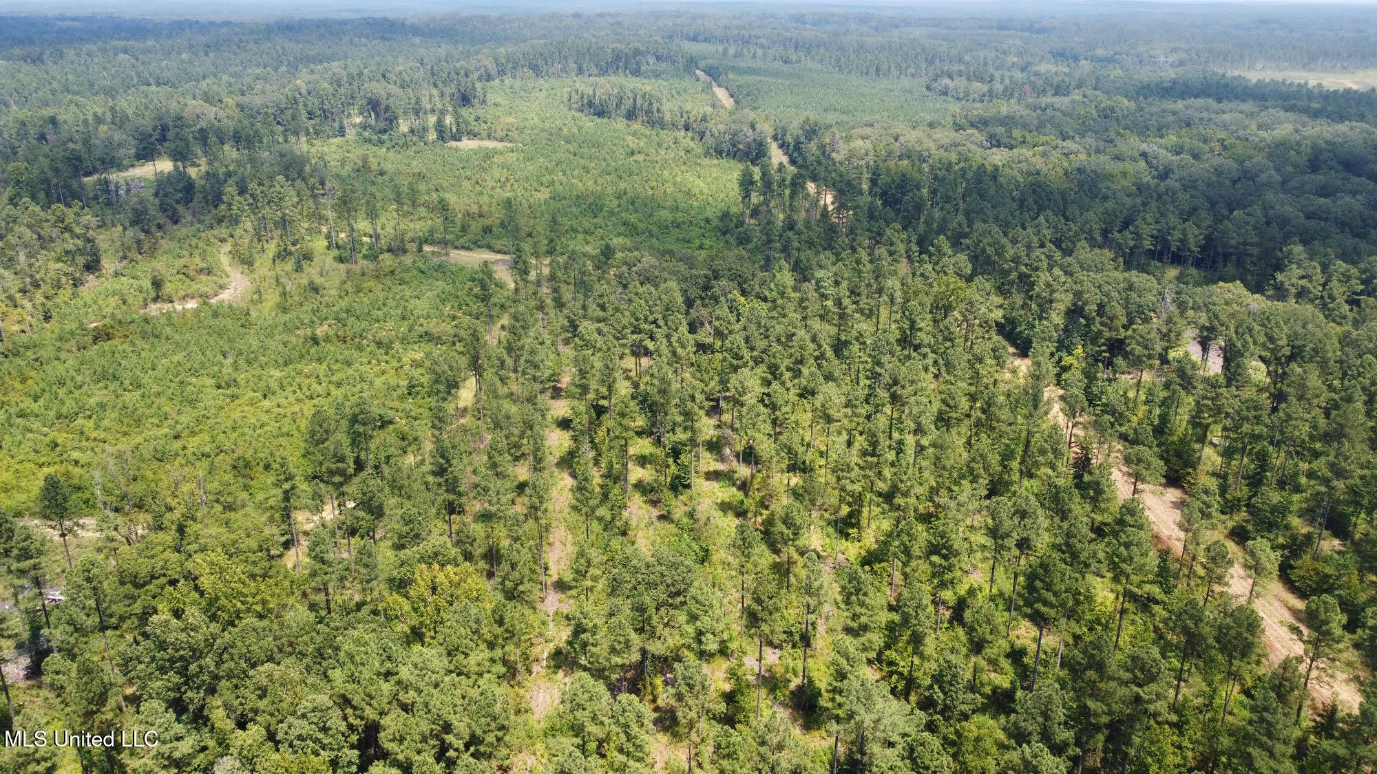 6145 Dry Grove Road Terry, MS 39170 - Photo 22 of 95 25