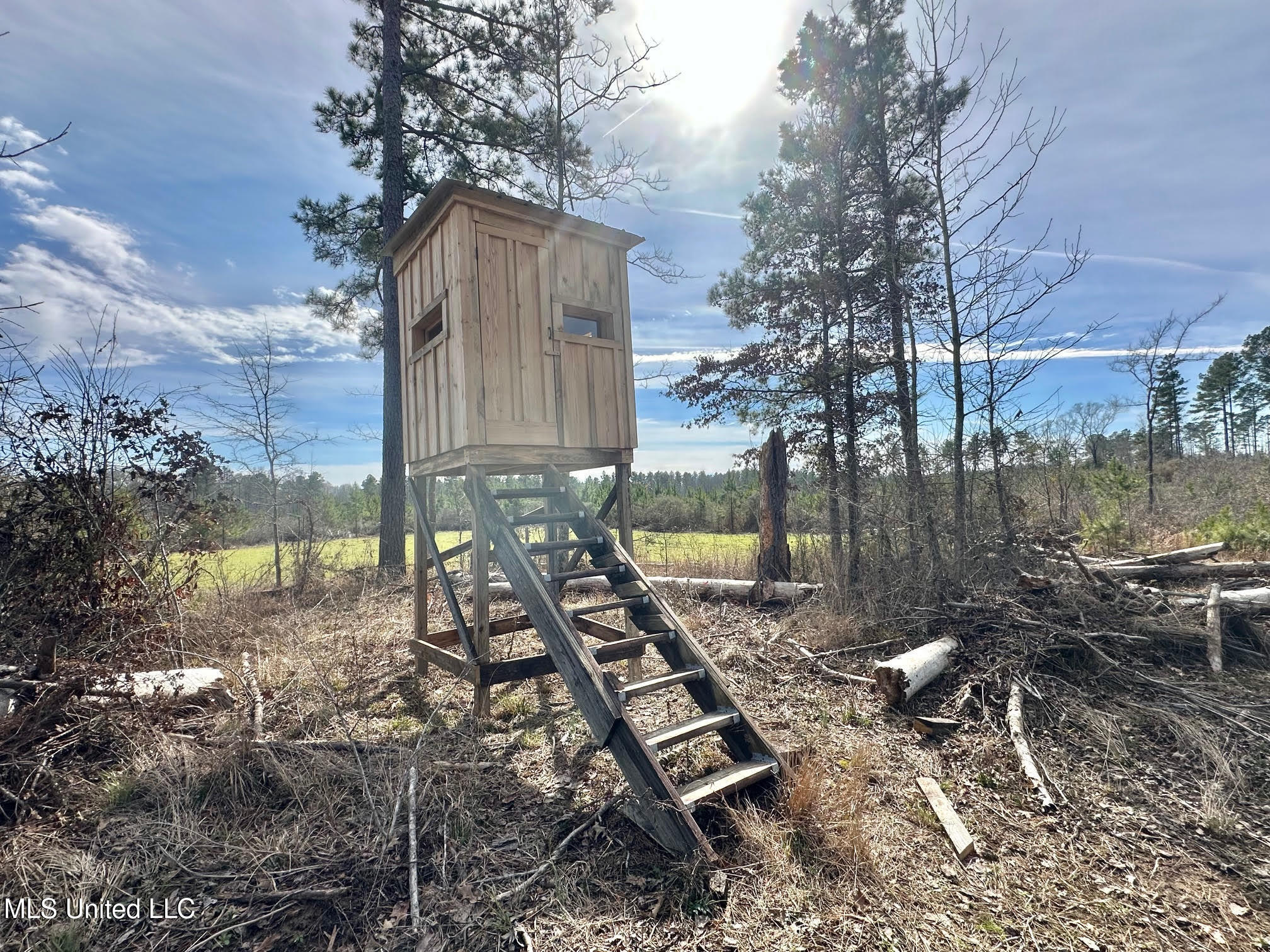 6145 Dry Grove Road Terry, MS 39170 - Photo 22 of 107 538 - Copy