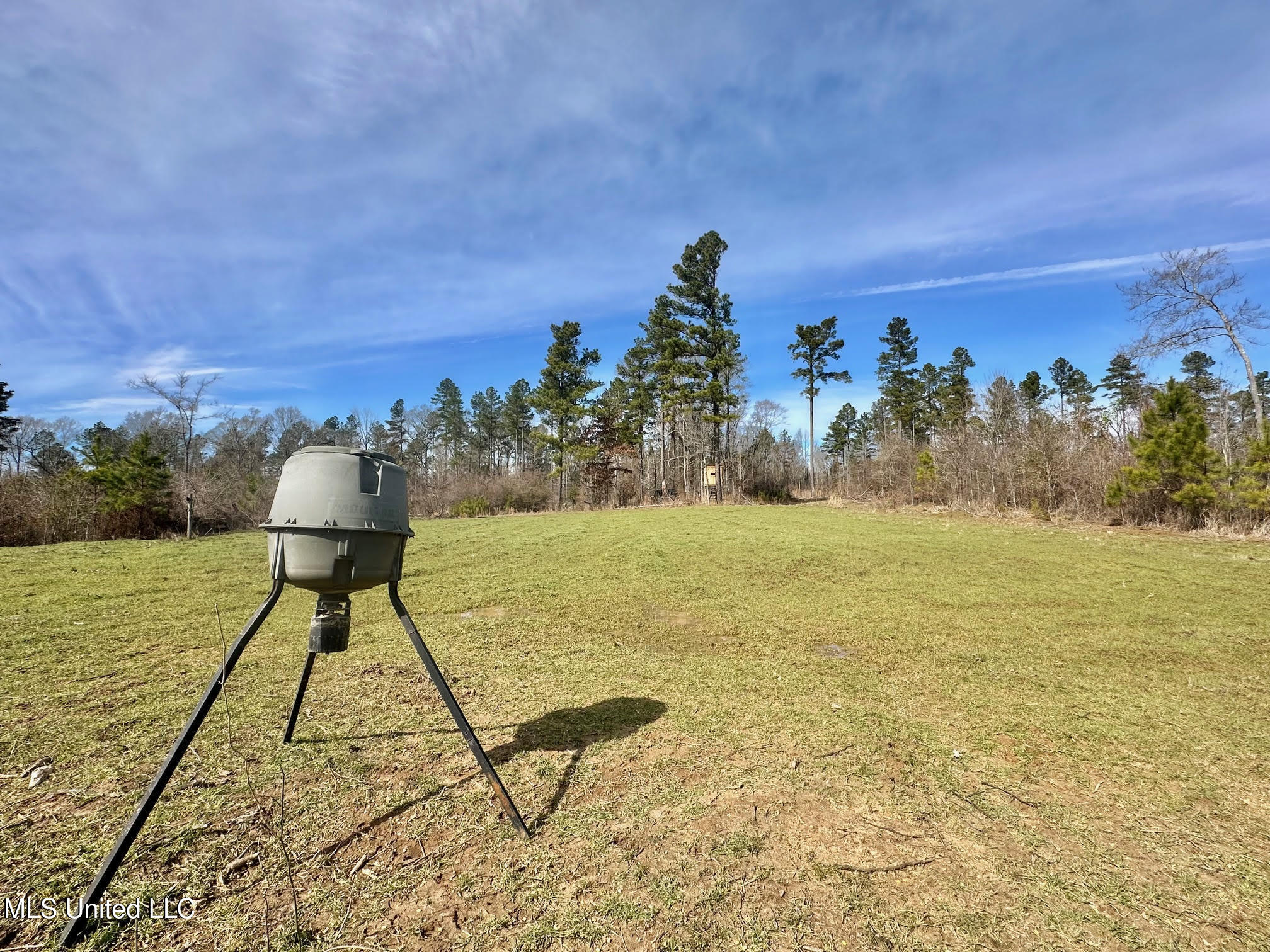 6145 Dry Grove Road Terry, MS 39170 - Photo 23 of 107 539 - Copy