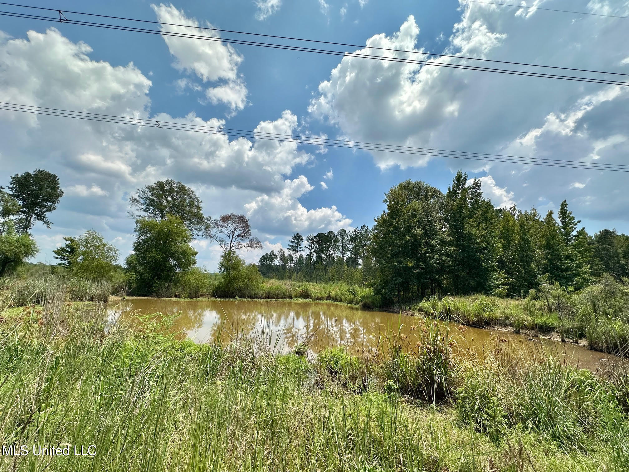 6145 Dry Grove Road Terry, MS 39170 - Photo 24 of 95 27