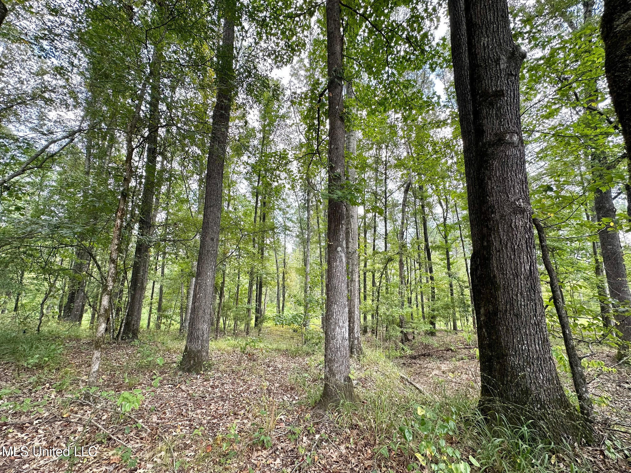 6145 Dry Grove Road Terry, MS 39170 - Photo 29 of 95 33