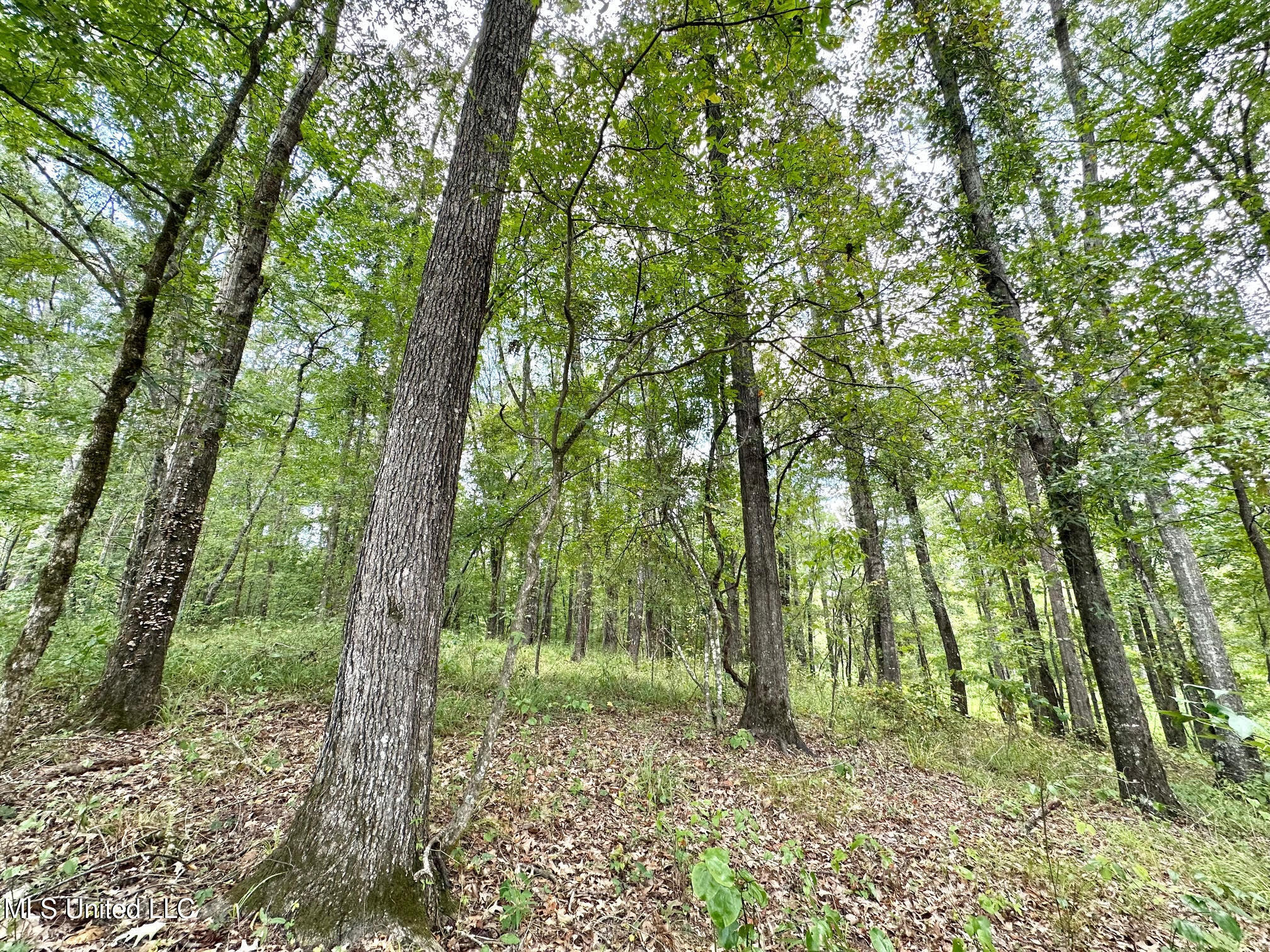 6145 Dry Grove Road Terry, MS 39170 - Photo 30 of 95 34