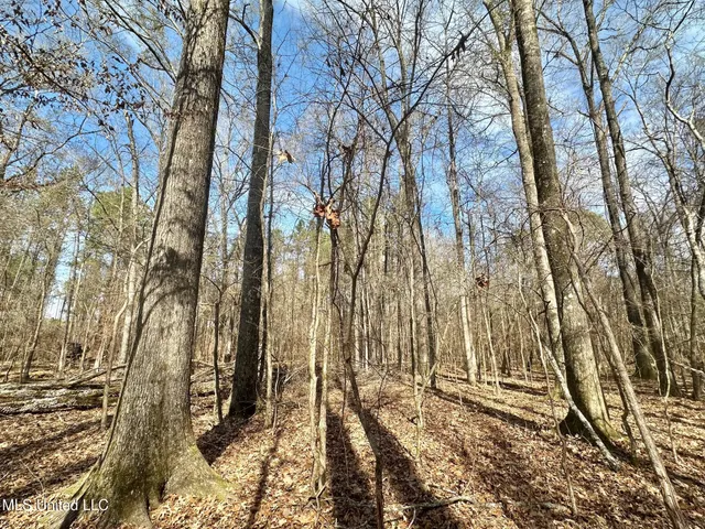 $3,879,000 | 6145 Dry Grove Road, Terry, MS 39170