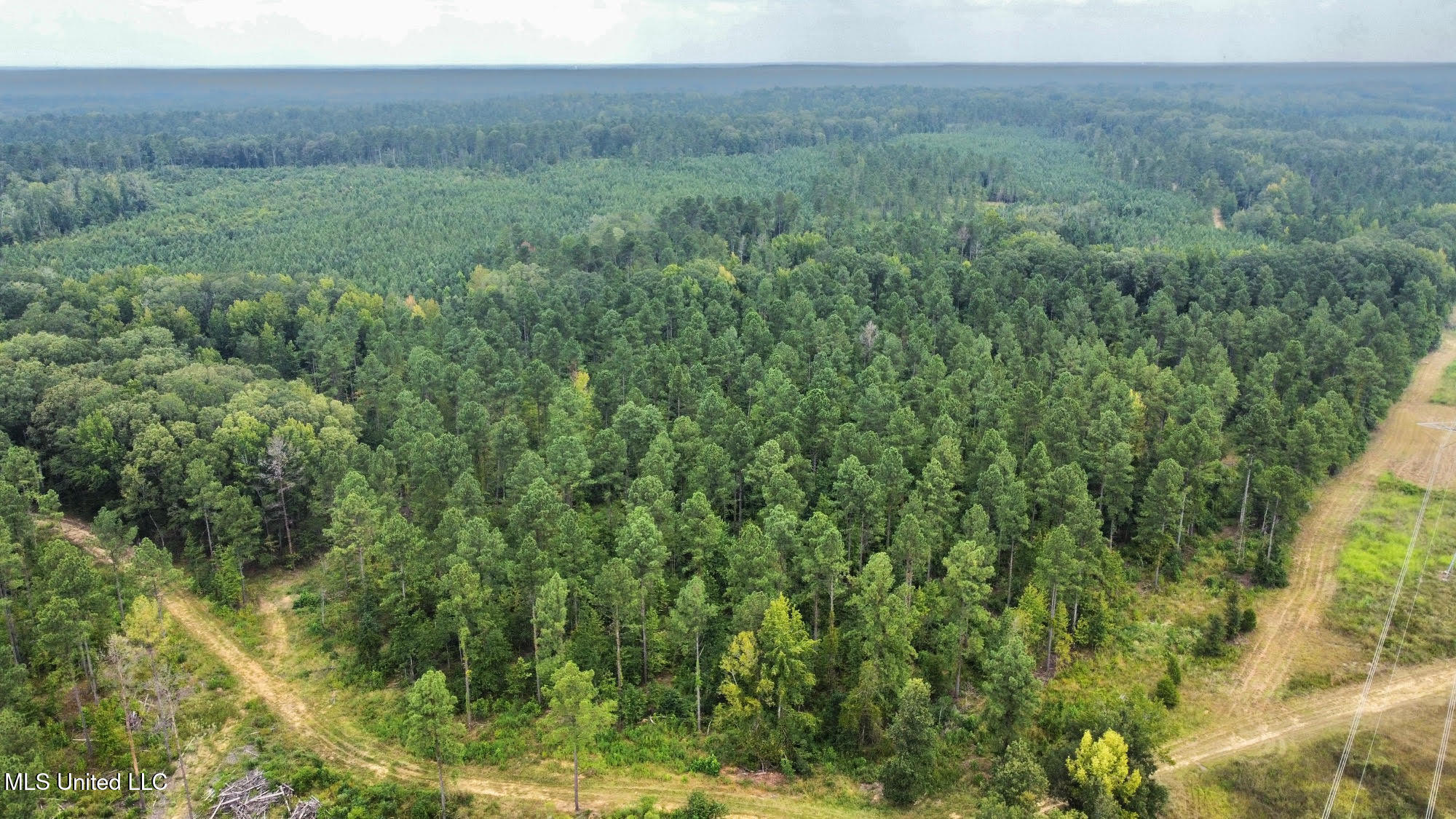 6145 Dry Grove Road Terry, MS 39170 - Photo 34 of 95 39