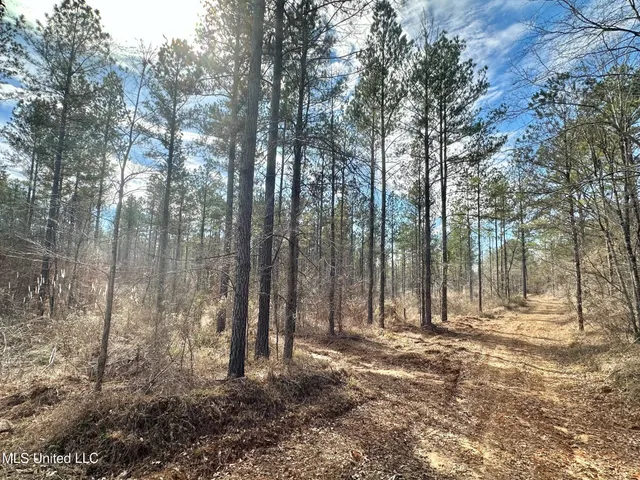 $3,879,000 | 6145 Dry Grove Road, Terry, MS 39170