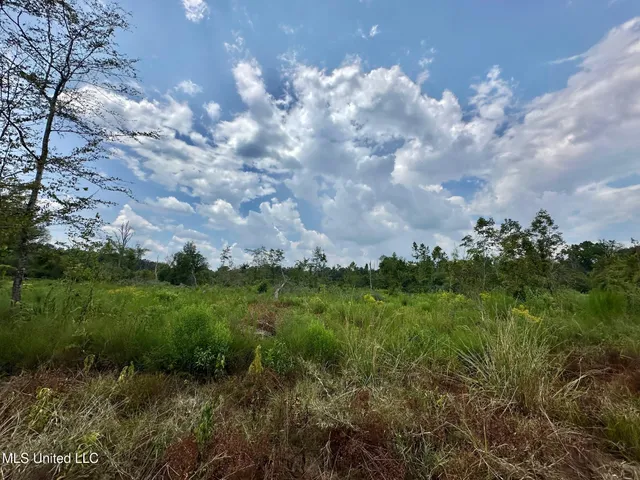 $4,420,000 | 6145 Dry Grove Road, Terry, MS 39170