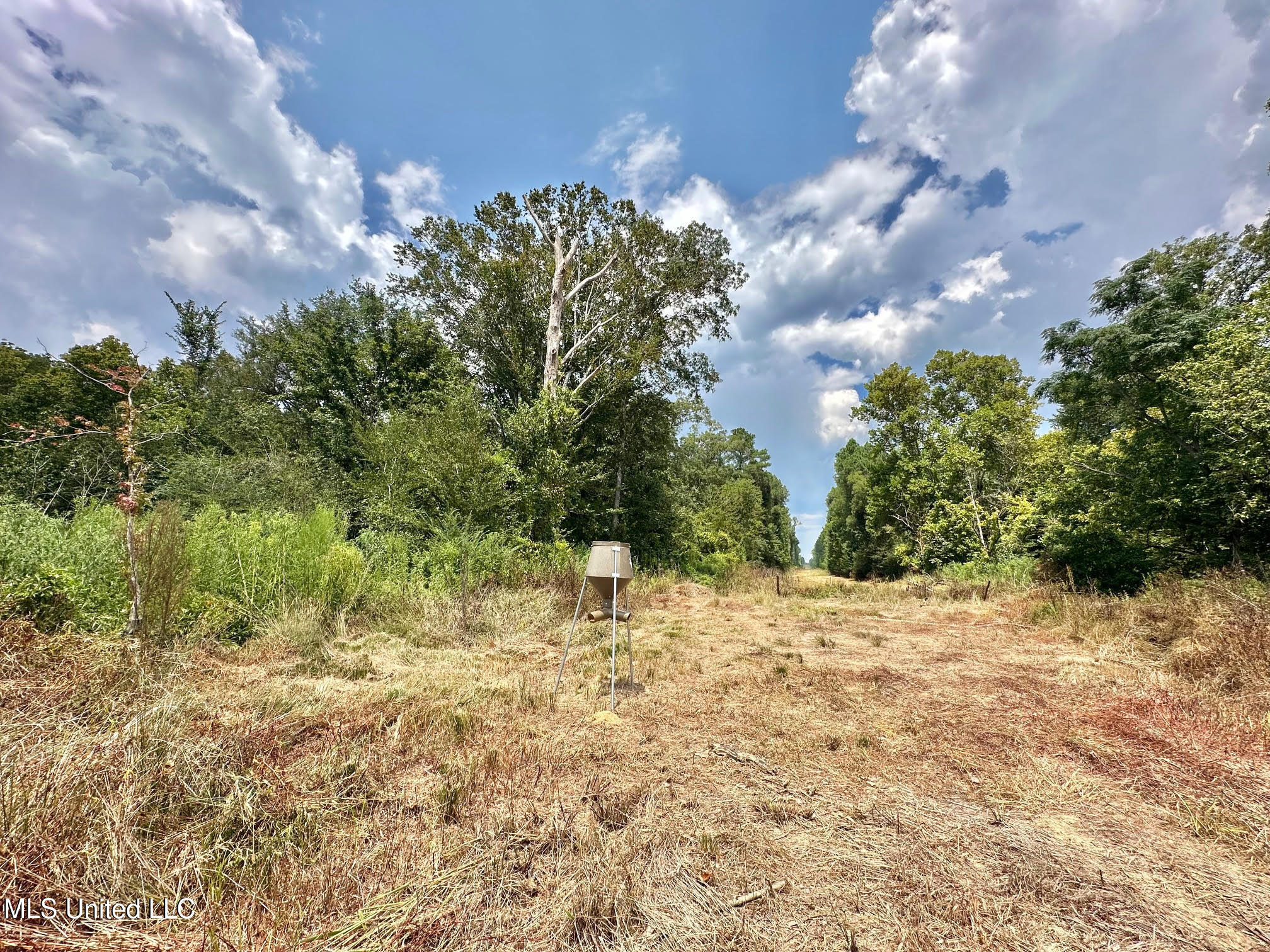 6145 Dry Grove Road Terry, MS 39170 - Photo 38 of 95 47