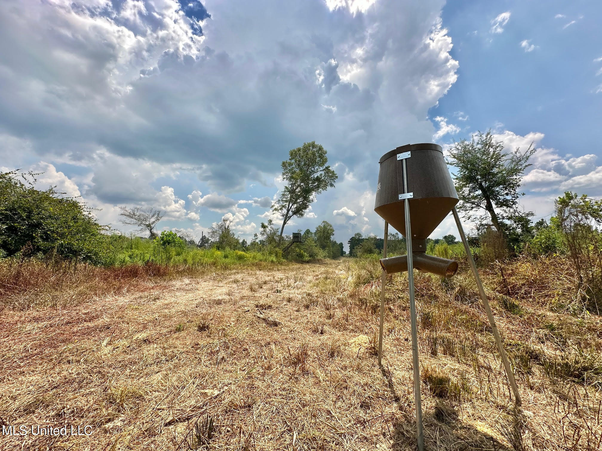 6145 Dry Grove Road Terry, MS 39170 - Photo 39 of 95 48