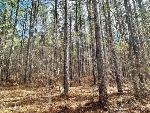 $3,879,000 | 6145 Dry Grove Road, Terry, MS 39170