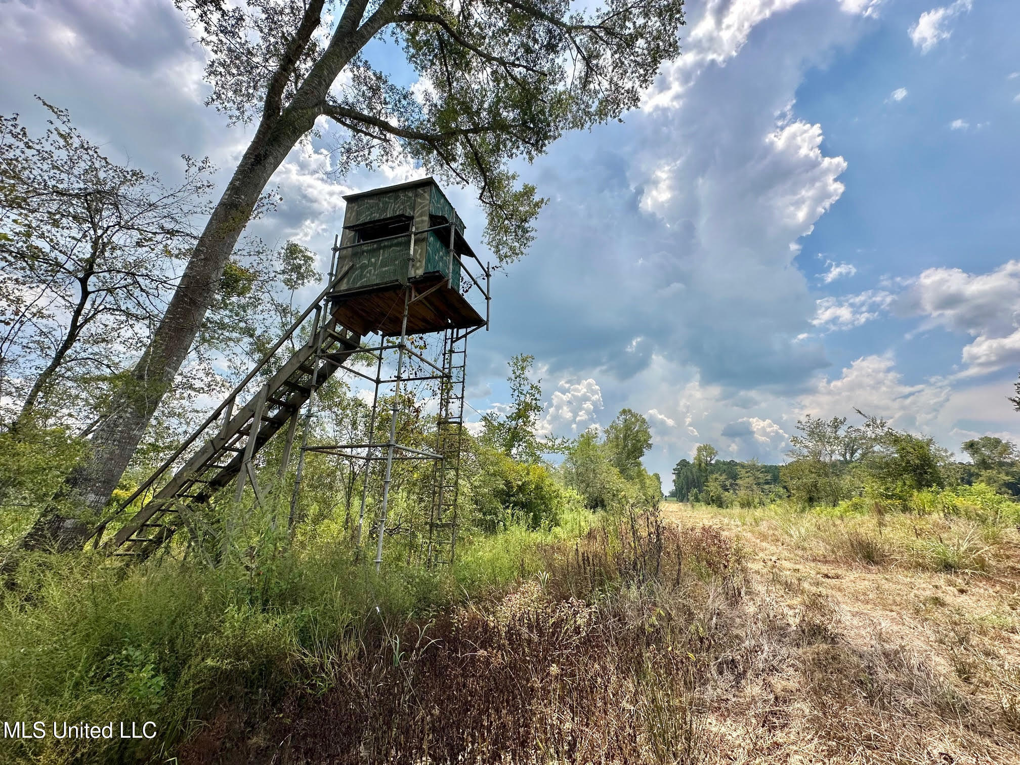 6145 Dry Grove Road Terry, MS 39170 - Photo 40 of 95 49