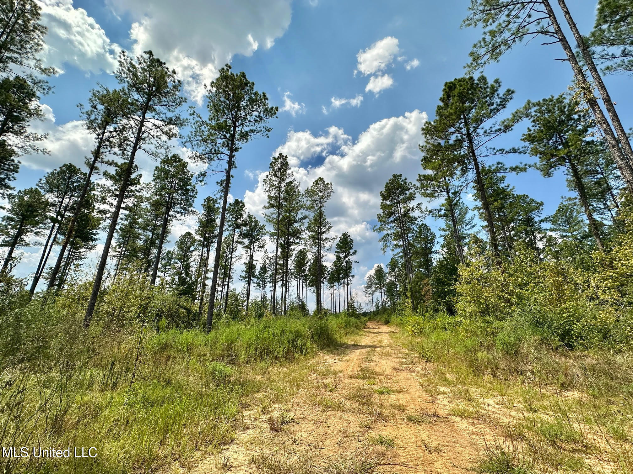 6145 Dry Grove Road Terry, MS 39170 - Photo 4 of 95 4