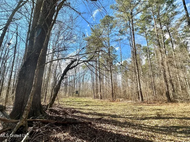 $3,879,000 | 6145 Dry Grove Road, Terry, MS 39170