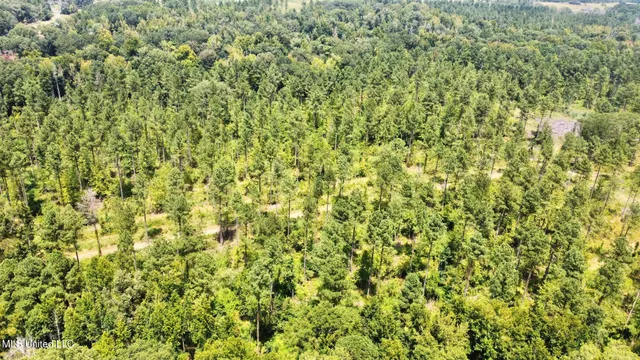 $4,420,000 | 6145 Dry Grove Road, Terry, MS 39170