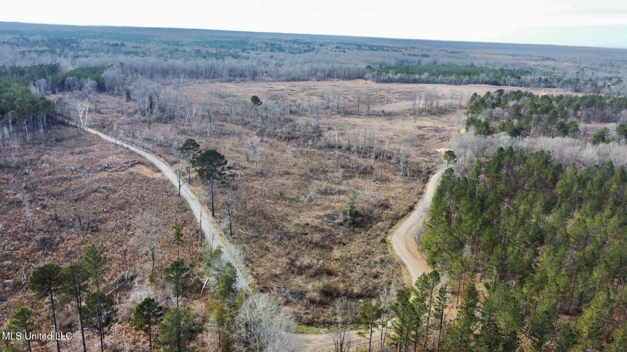 6145 Dry Grove Road Terry, MS 39170 - Photo 46 of 107 596 - Copy