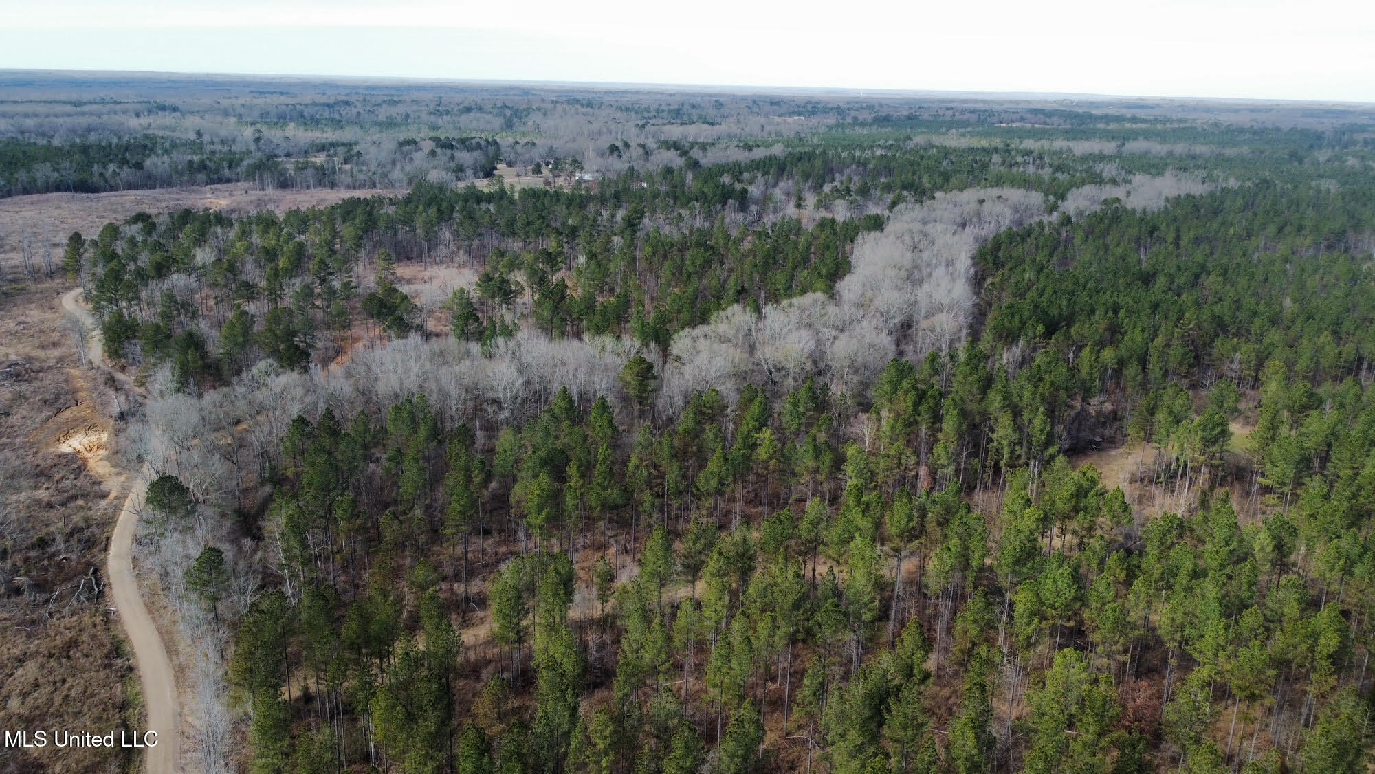 6145 Dry Grove Road Terry, MS 39170 - Photo 47 of 107 597 - Copy