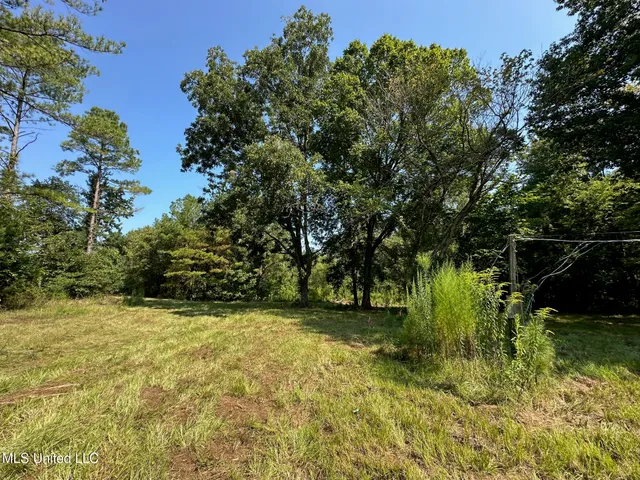 $4,420,000 | 6145 Dry Grove Road, Terry, MS 39170