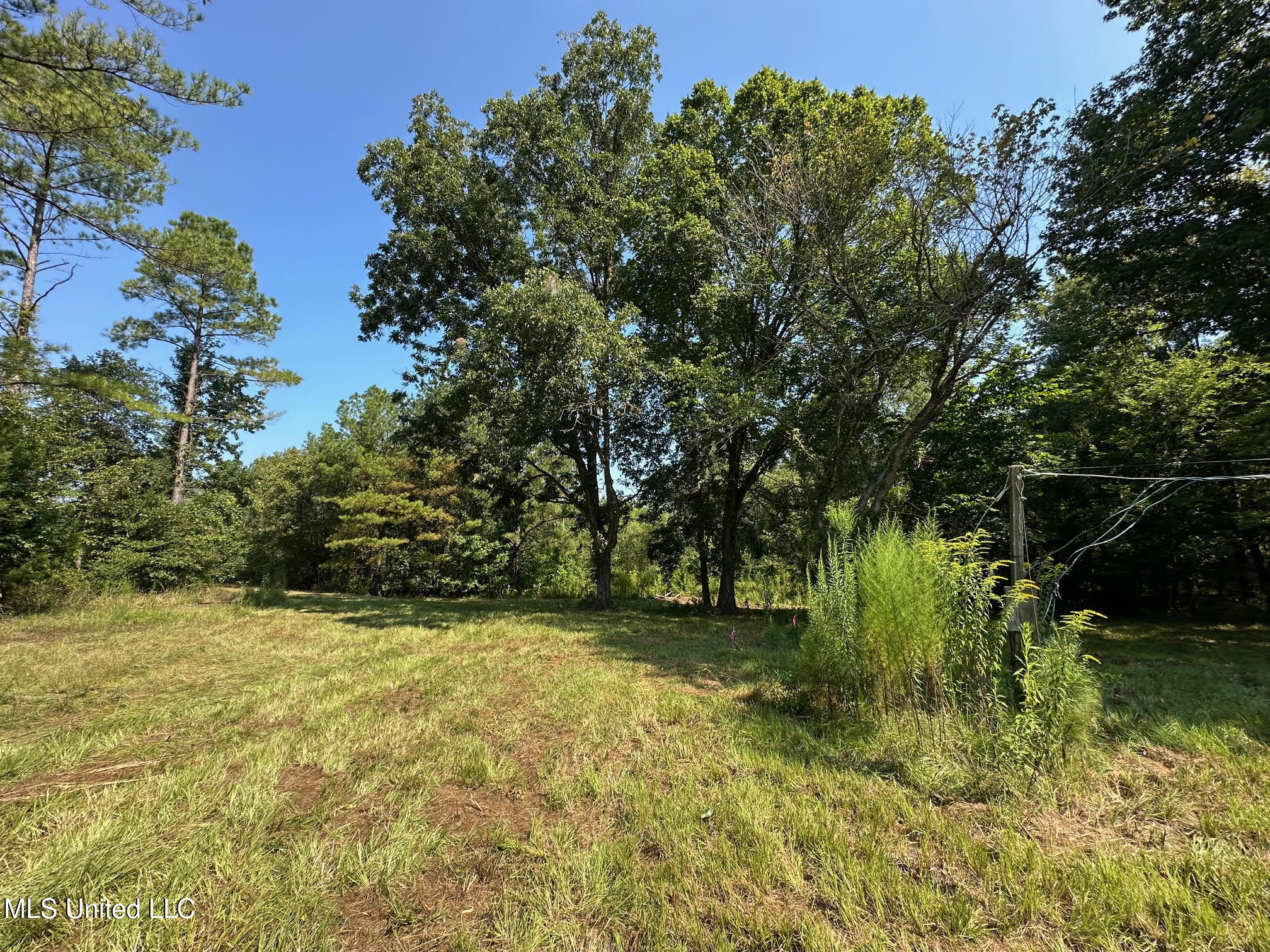 6145 Dry Grove Road Terry, MS 39170 - Photo 47 of 95 60