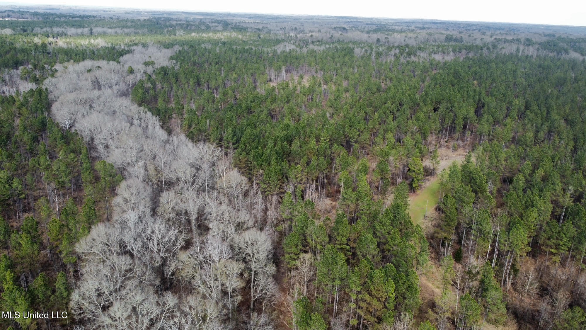 6145 Dry Grove Road Terry, MS 39170 - Photo 48 of 107 599 - Copy