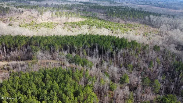 $3,660,000 | 6145 Dry Grove Road, Terry, MS 39170