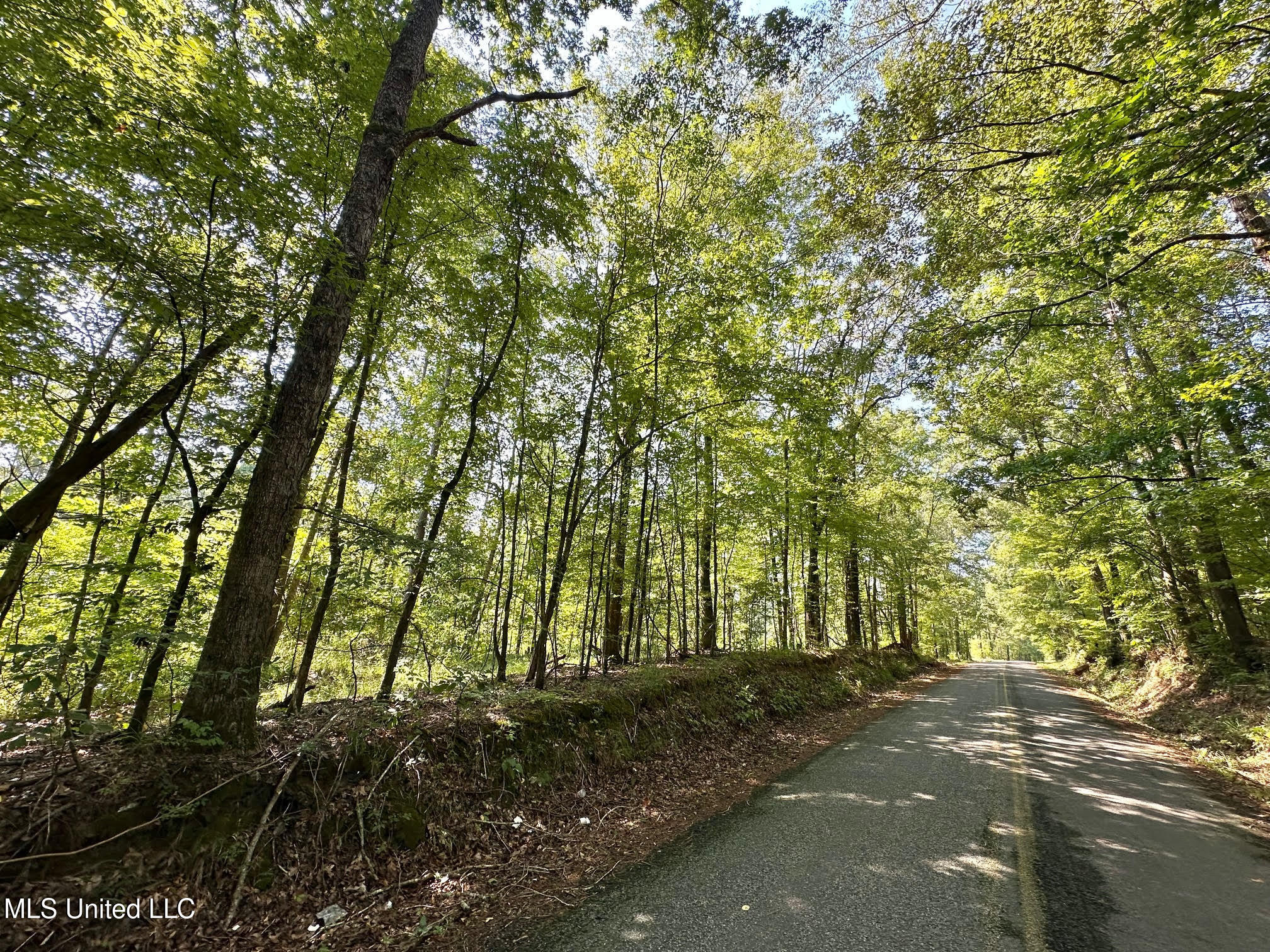 6145 Dry Grove Road Terry, MS 39170 - Photo 50 of 95 65