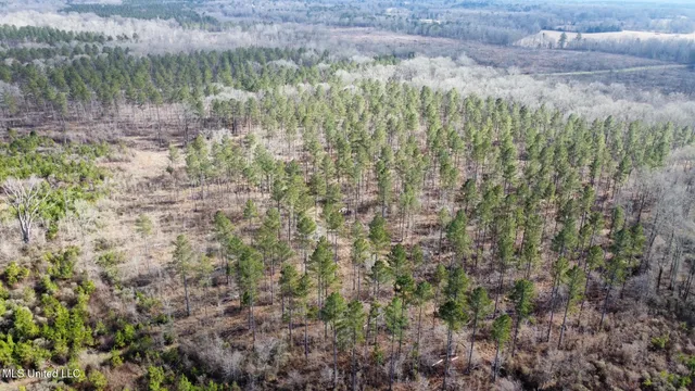 $3,879,000 | 6145 Dry Grove Road, Terry, MS 39170