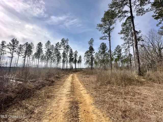 $3,879,000 | 6145 Dry Grove Road, Terry, MS 39170