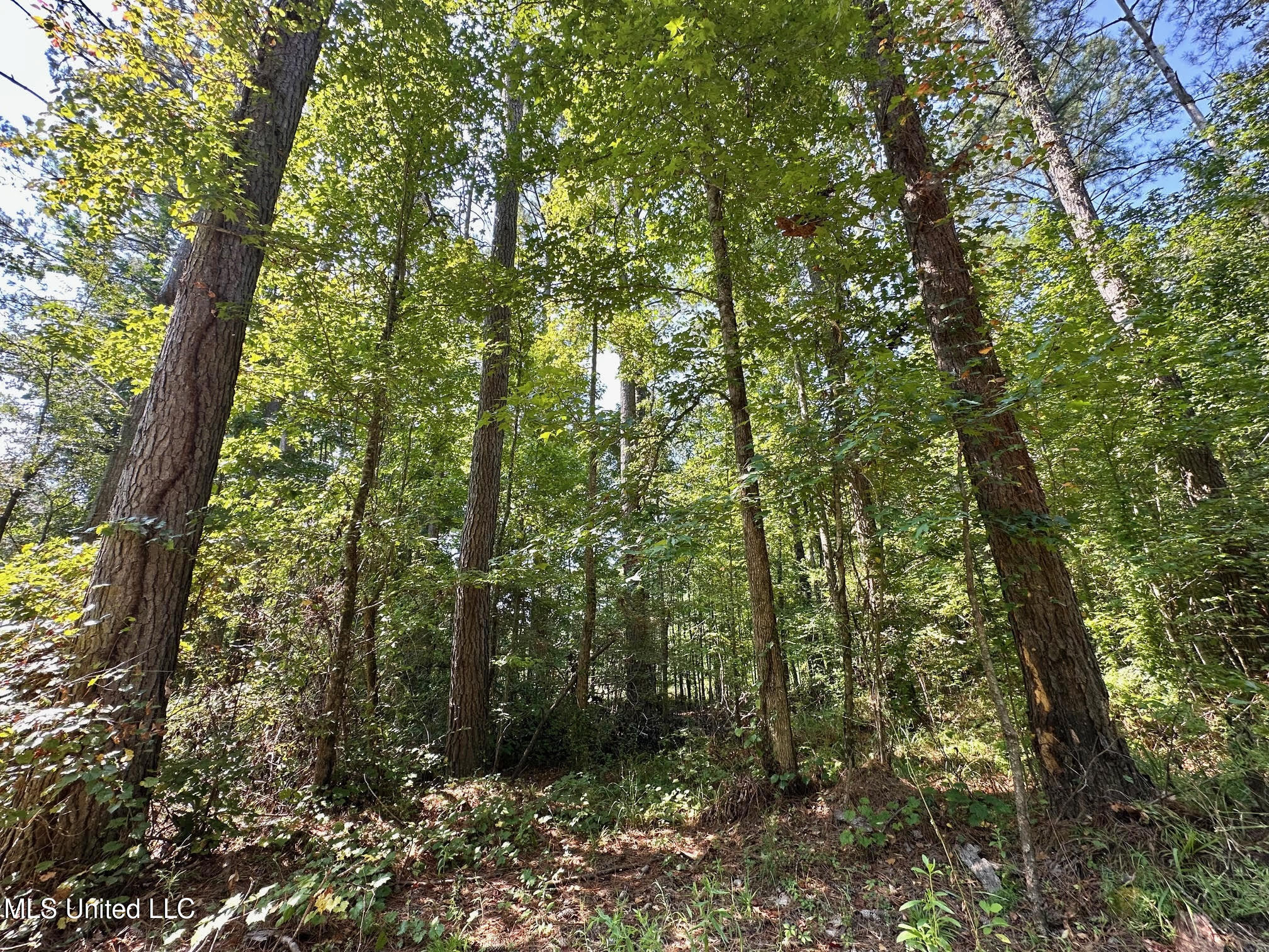 6145 Dry Grove Road Terry, MS 39170 - Photo 52 of 95 69