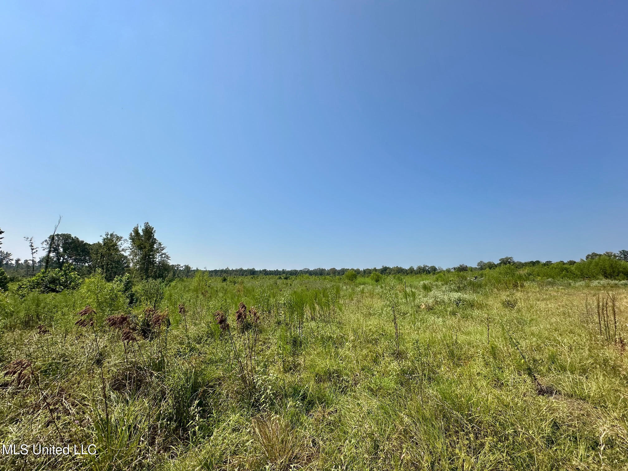 6145 Dry Grove Road Terry, MS 39170 - Photo 56 of 95 78