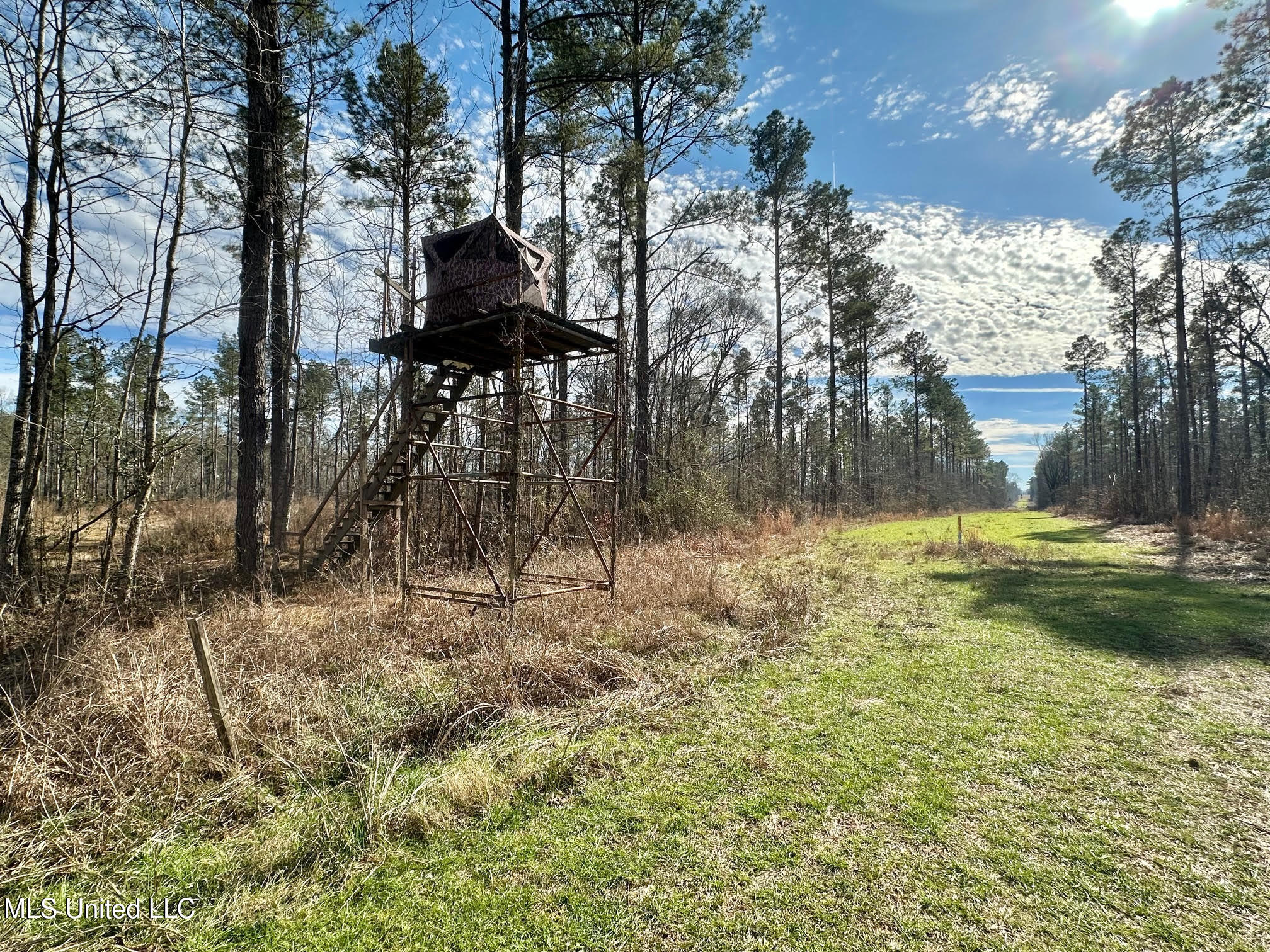 6145 Dry Grove Road Terry, MS 39170 - Photo 57 of 107 626 - Copy